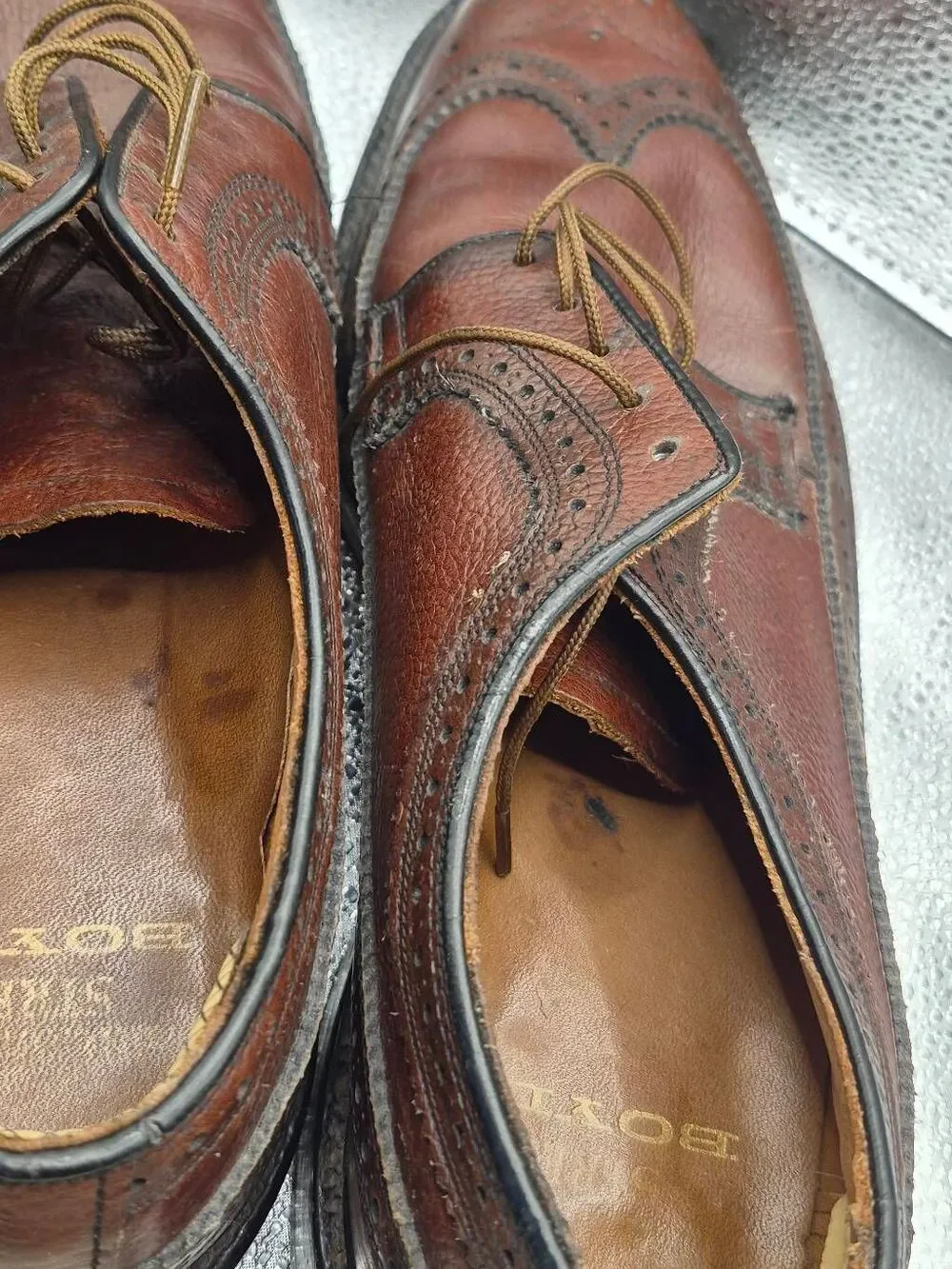 Boyd's wingtips